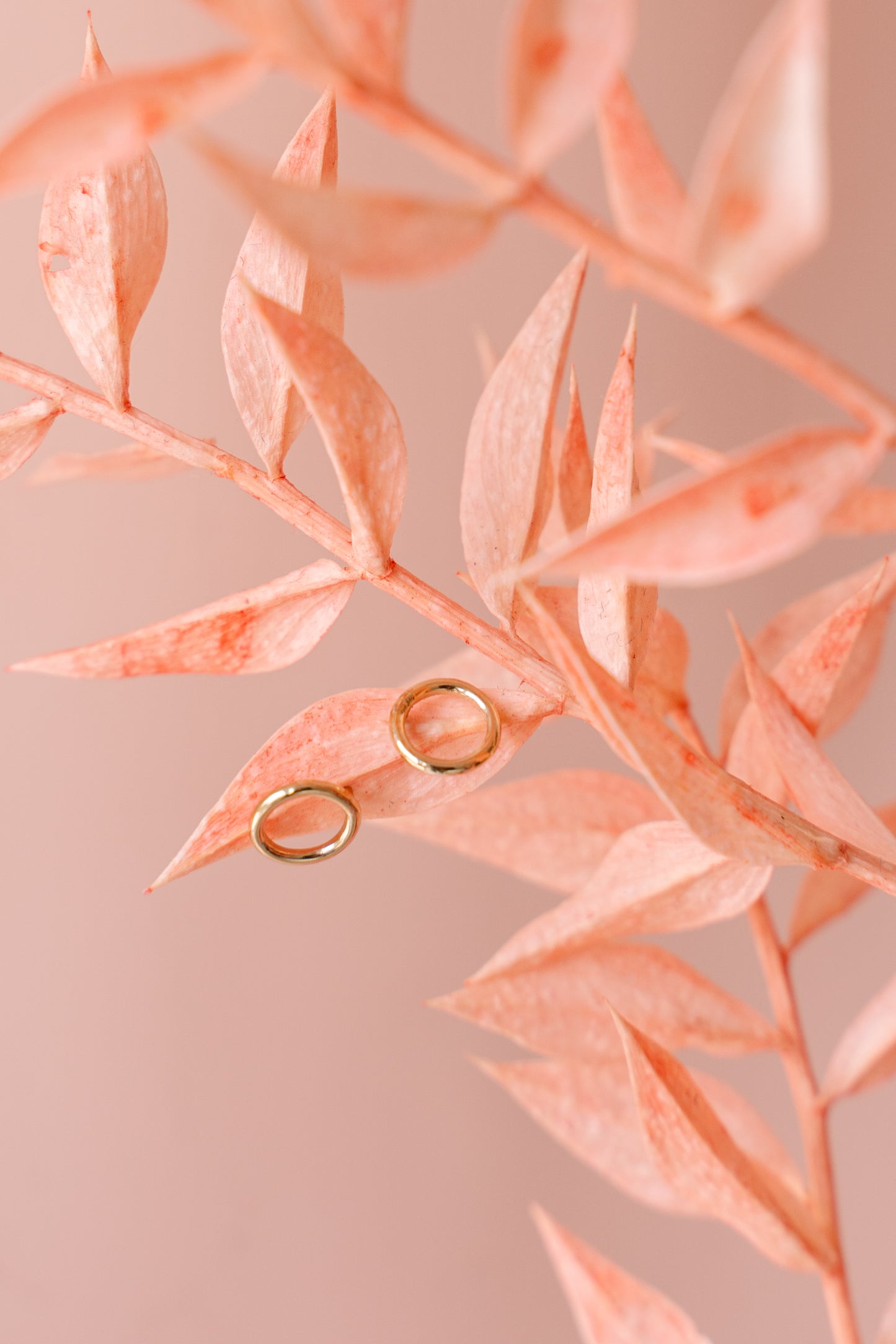 Boucles d'oreilles en cercle sur une feuille