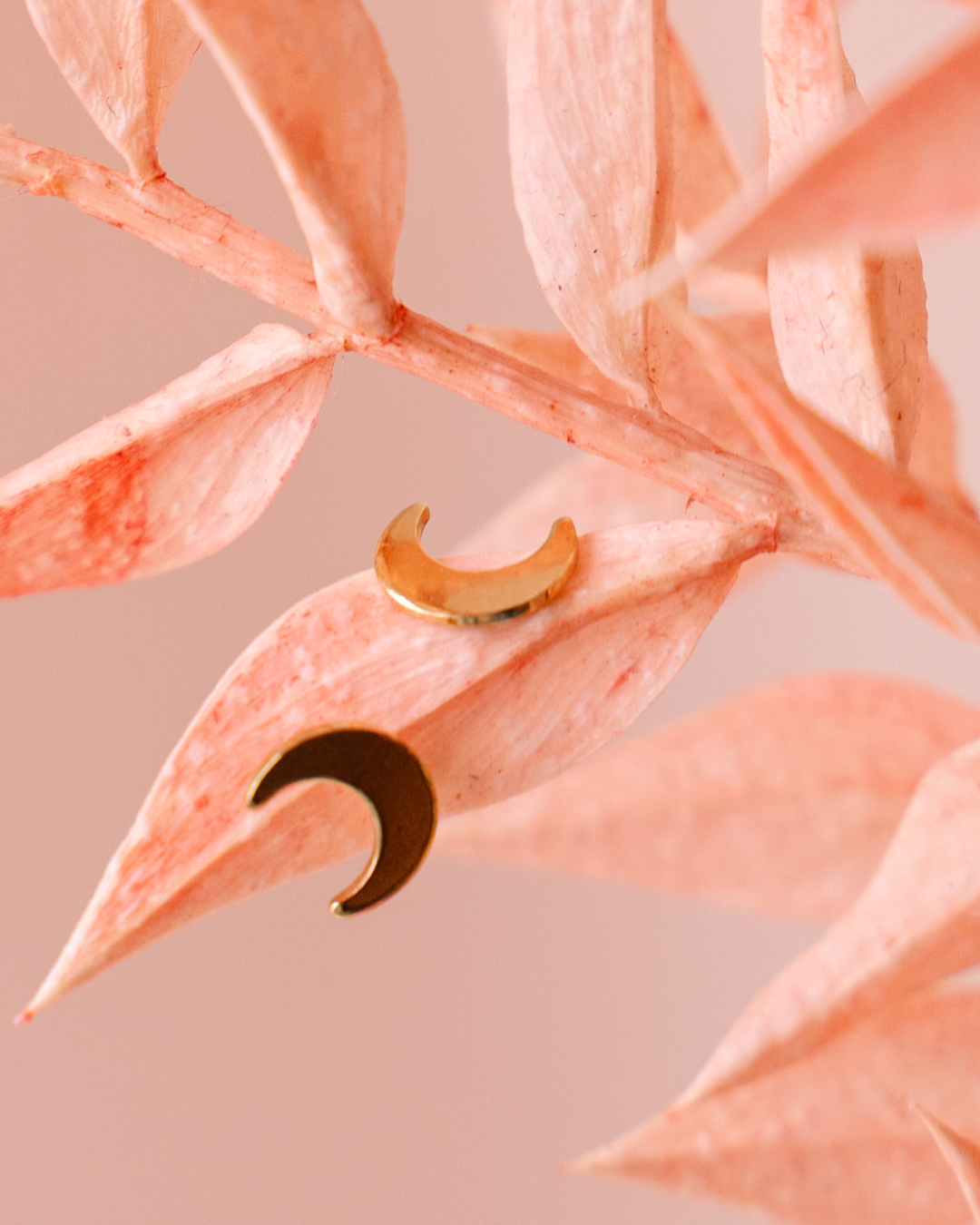 Puces d'oreilles Lune