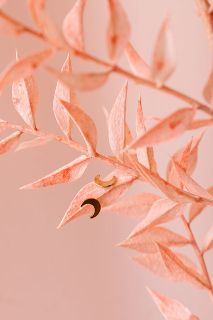 Puces d'oreilles lune sur feuilles 