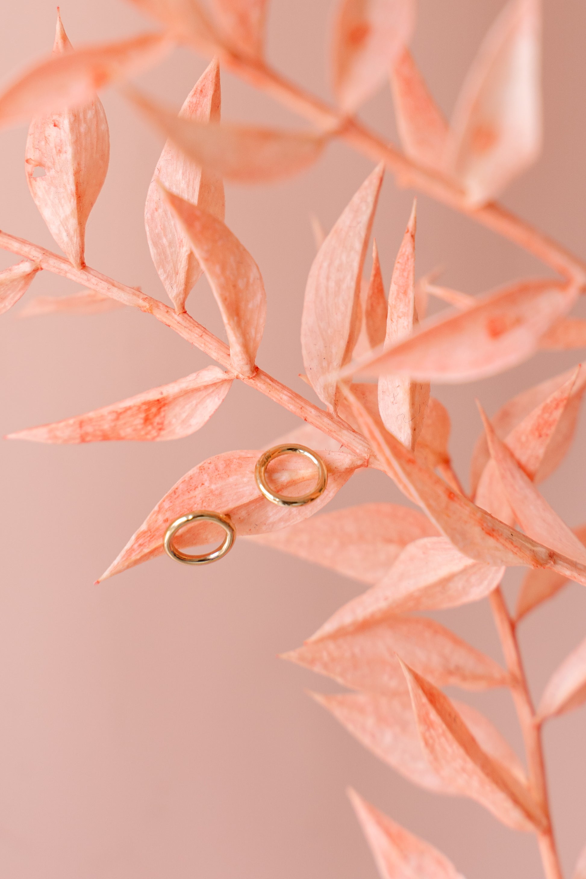 Boucles d'oreilles en cercle sur une feuille