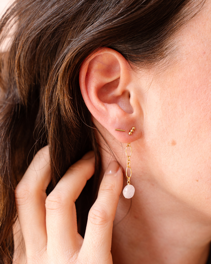 Puces d'oreilles Trio
