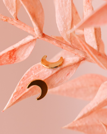 Puces d'oreilles Lune