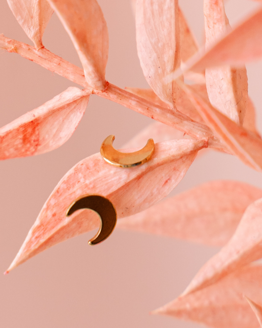 Puces d'oreilles Lune
