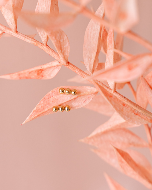 Puces d'oreilles Trio