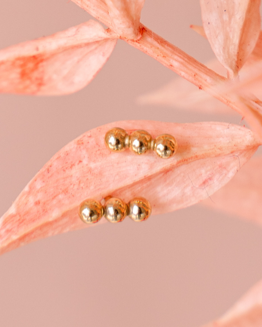Puces d'oreilles Trio